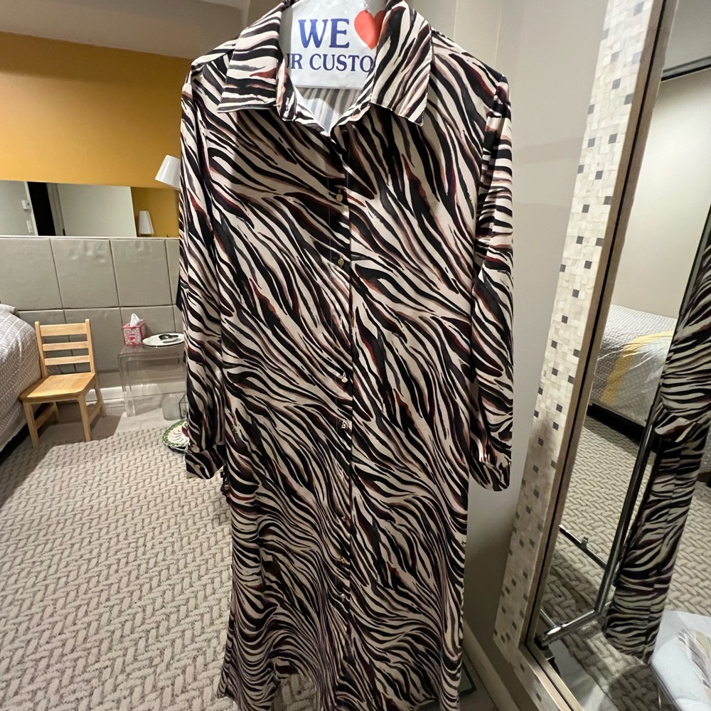 Zara dress